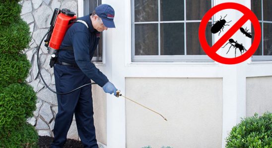 Sarıoğlan Fare İlaçlama böcek ilaçlama ve haşere kontrolü — ilaclama-tr.com